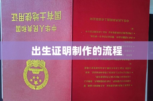 白河出生证明制作的流程